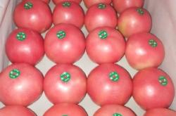 赤峰寧城縣農機廠電話號碼