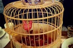 赤峰銷售遮陽網(wǎng)的電話號(hào)碼是多少