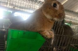 赤峰市愛居兔門店電話號碼