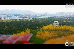 赤峰市紅山區(qū)安監(jiān)局電話號碼