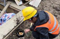 赤峰市滅白蟻電話號(hào)碼查詢