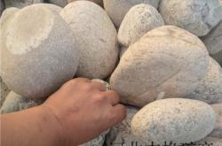 赤峰特種砂漿廠家電話號(hào)碼查詢