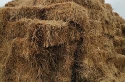 赤峰出售小麥秸稈電話(huà)號(hào)碼是多少