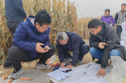 赤峰收舊衣服王哥電話號碼