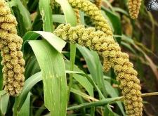 赤峰市田玉中診所電話號(hào)碼