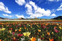 赤峰市克旗上頭地電話