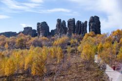 赤峰石林寵物醫(yī)院地址電話號碼