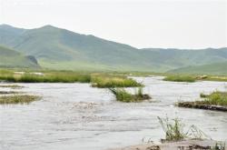 赤峰東烏旗跑腿電話號碼是多少