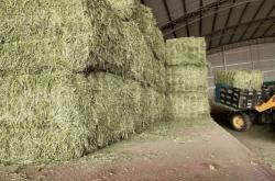 赤峰出售草場電話號碼是多少號