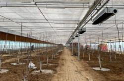 赤峰雨東大櫻桃采摘園電話號碼