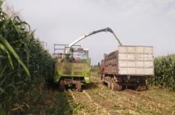 赤峰林西取暖電話(huà)號(hào)碼查詢(xún)是多少