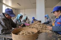 赤峰中藥材市場(chǎng)地址電話號(hào)碼