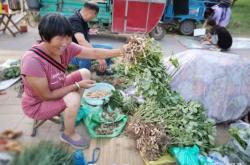 赤峰市菜農(nóng)買菜電話號碼查詢