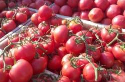 赤峰寧城中大型飯店電話號碼