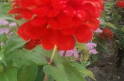 赤峰林西女子監(jiān)獄地址電話號(hào)碼