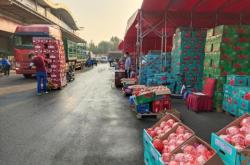 赤峰水果禮品批發(fā)市場(chǎng)電話號(hào)碼