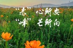 赤峰心算培訓(xùn)班電話多少號(hào)