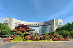 赤峰綠雕安裝電話號(hào)碼查詢是多少