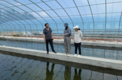 赤峰利亞水產(chǎn)電話號碼多少號