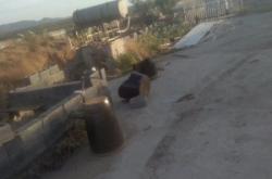 赤峰平莊荒廢廠房出租電話號(hào)碼