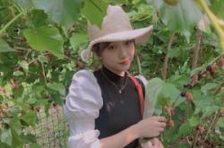 赤峰小偉蔬果店電話號碼查詢