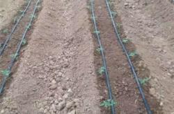 赤峰滴灌管廠家電話多少號