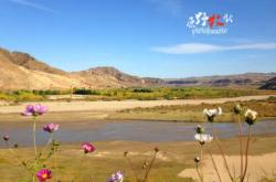 赤峰原野餐吧電話多少啊