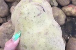 赤峰市土豆代購店電話地址查詢