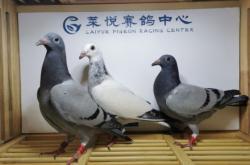 赤峰雨點(diǎn)公司地址查詢(xún)電話(huà)號(hào)碼