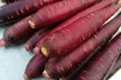 赤峰賣胡蘿卜的電話是多少號