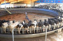 赤峰牧場售后服務(wù)電話號碼查詢