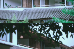 彭州赤峰鎮(zhèn)馬姐民宿電話號碼