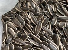 赤峰祁氏瓜子店電話號碼查詢