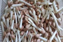 赤峰摘菜機(jī)廠家聯(lián)系電話號碼