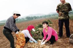 赤峰四家子看事電話號(hào)碼