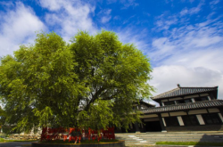 赤峰萬澤垂釣園電話號碼查詢