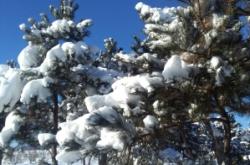 赤峰市寧城縣職校電話號(hào)碼