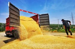 赤峰木作工廠電話地址是多少號