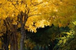 赤峰仟佰廚具怎么樣啊電話號(hào)碼