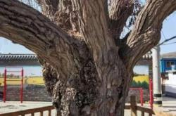 赤峰萬祥商貿(mào)有限公司電話號(hào)碼