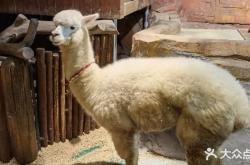 赤峰市貝爾游樂(lè)園電話號(hào)碼