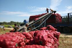 赤峰烤煙合作社電話號碼查詢