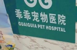 赤峰市寵物美容團購電話號碼