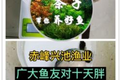 赤峰市老板水產(chǎn)店地址電話號碼