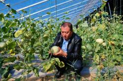 赤峰大棚遮陽棚廠家電話號(hào)碼