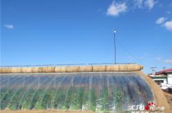 赤峰寧城青商會電話號碼查詢