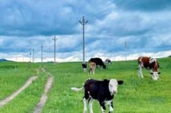 赤峰檸竹戶外樂園地址電話查詢