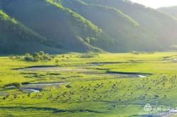 赤峰牛犢收售地址電話號(hào)碼是多少