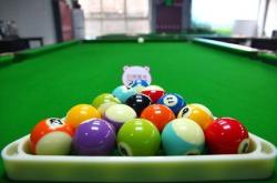 赤峰紅山臺球廳團購電話號碼