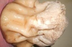 赤峰太歲收藏館電話號碼查詢